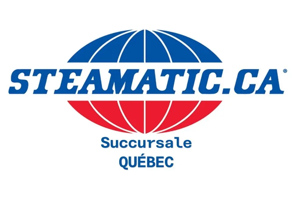 Logo Steamatic Québec